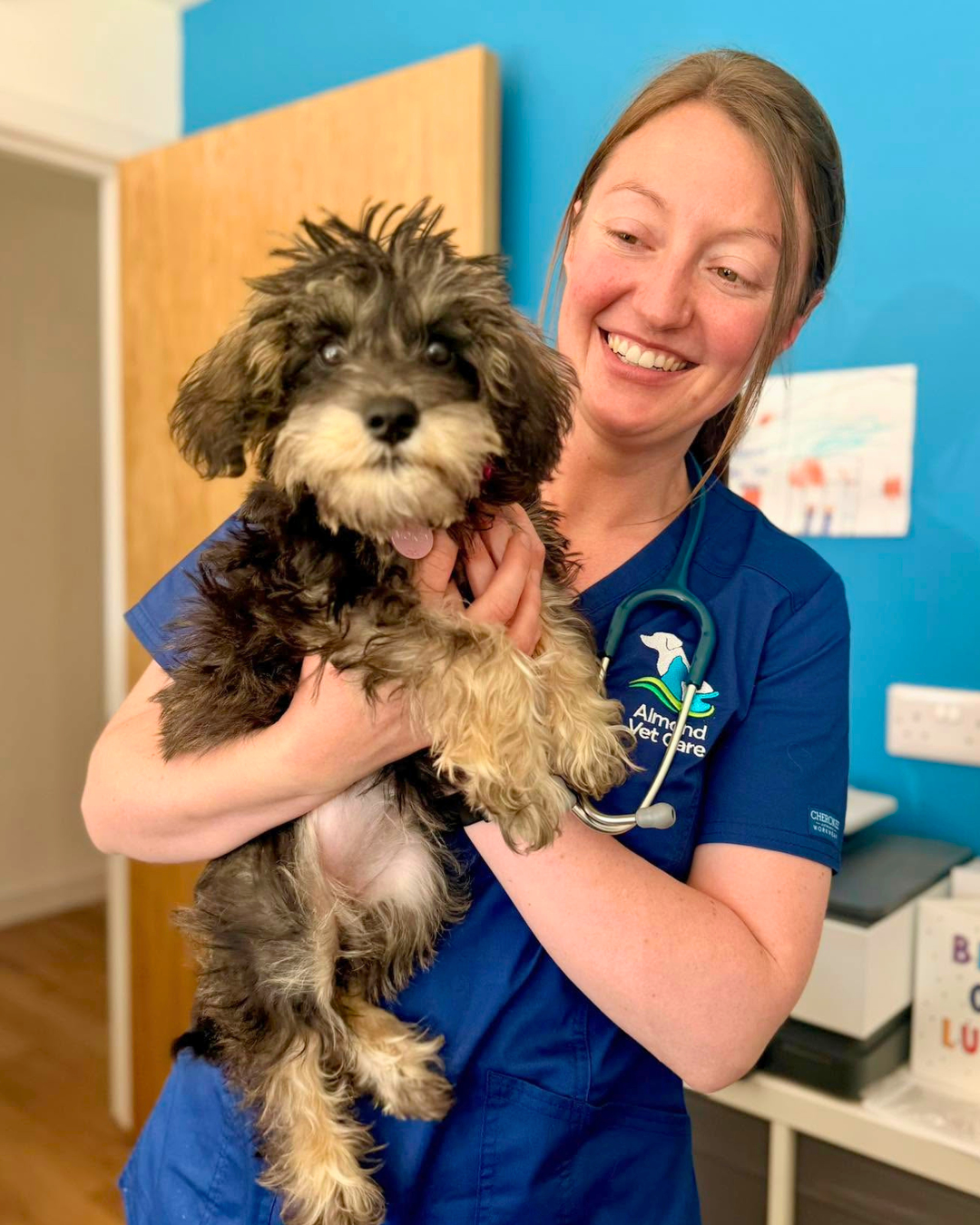Dr Katie Jones holding a dog patient at Almond Vet Care