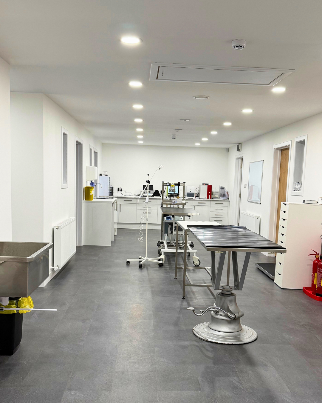 Almond Vet Care clinical area