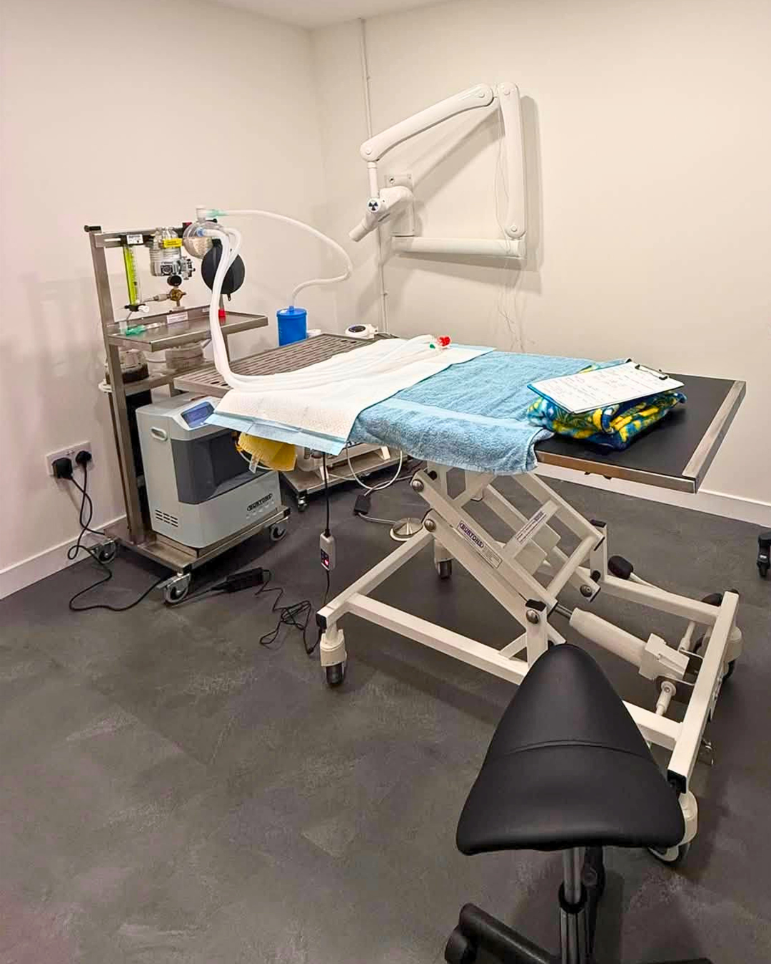 Almond Vet Care operating theatre