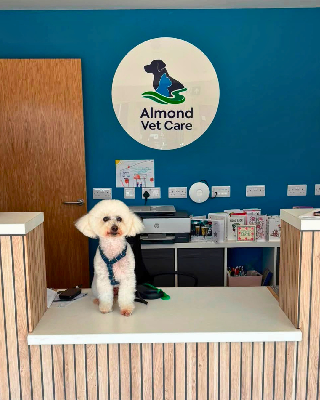 Almond Vet Care reception desk