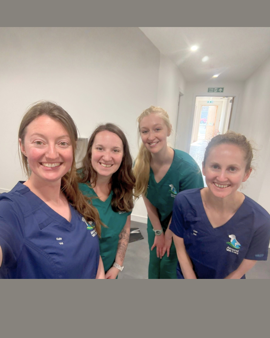 Almond Vet Care veterinary team photo